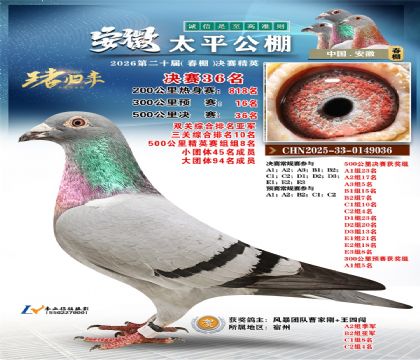 ����̫ƽ����36��