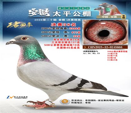 ����̫ƽ����38��