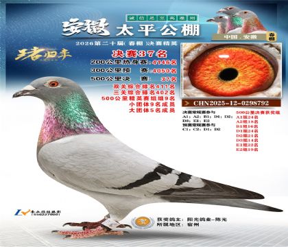 ����̫ƽ����37��