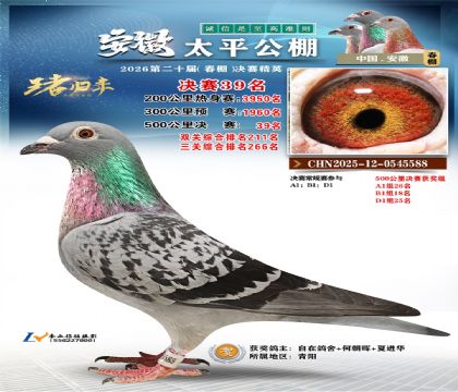 ����̫ƽ����39��