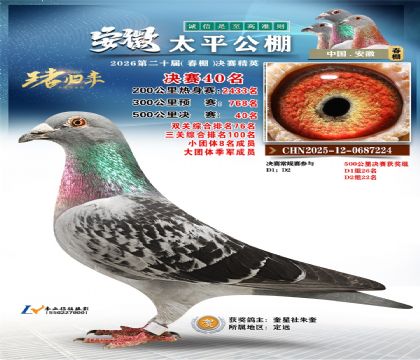 ����̫ƽ����40��