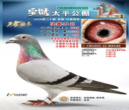 ����̫ƽ����41��