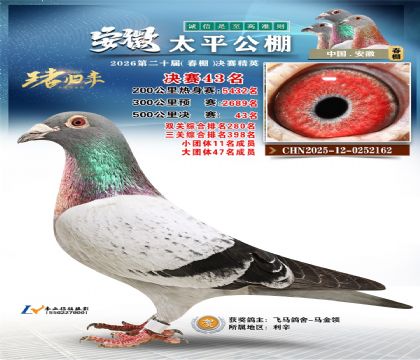 ����̫ƽ����43��