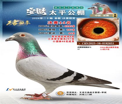 ����̫ƽ����44��