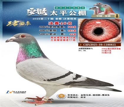 ����̫ƽ����46��