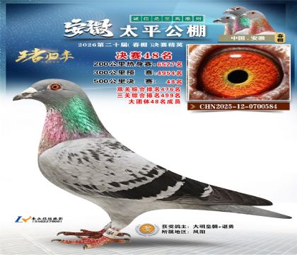 ����̫ƽ����48��