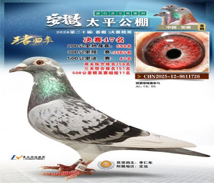 ����̫ƽ����47��