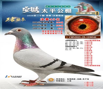 ����̫ƽ����49��