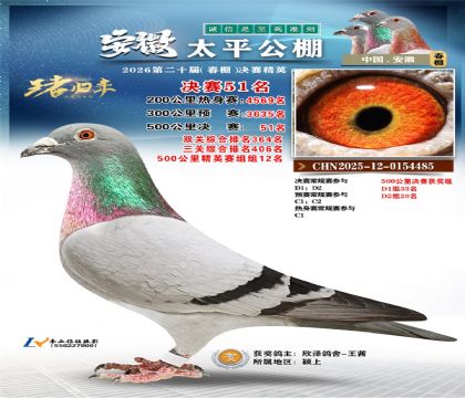 ����̫ƽ����51��