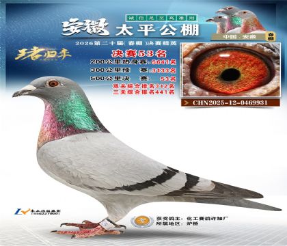 ����̫ƽ����53��