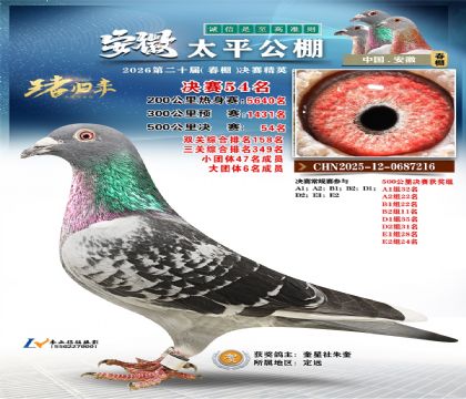 ����̫ƽ����54��