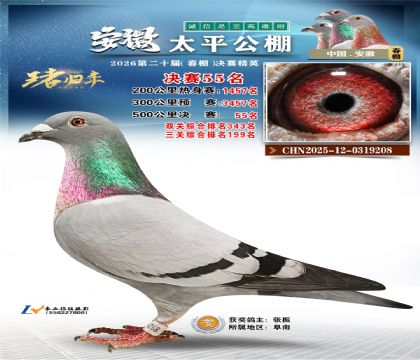 ����̫ƽ����55��