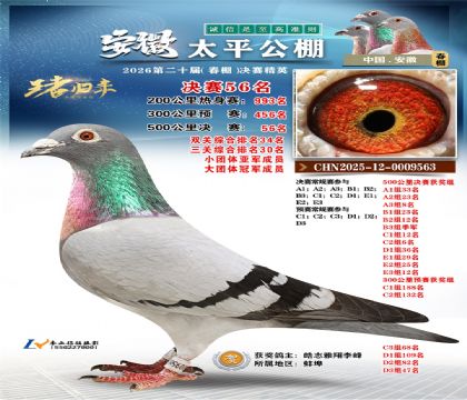 ����̫ƽ����56��