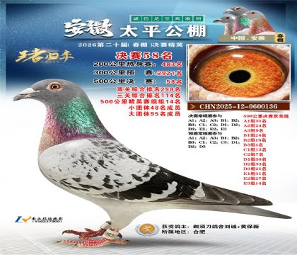 ����̫ƽ����58��