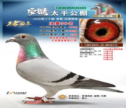 ����̫ƽ����59��