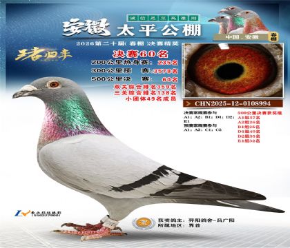 ����̫ƽ����60��