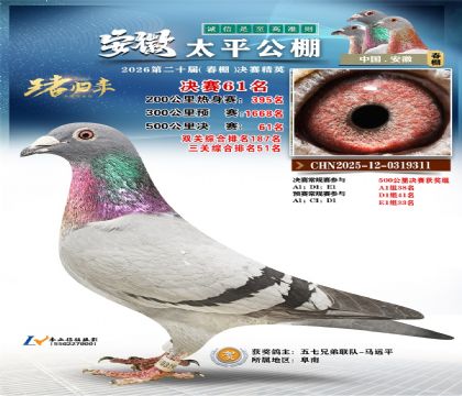 ����̫ƽ����61��