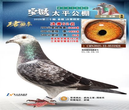 ����̫ƽ����62��