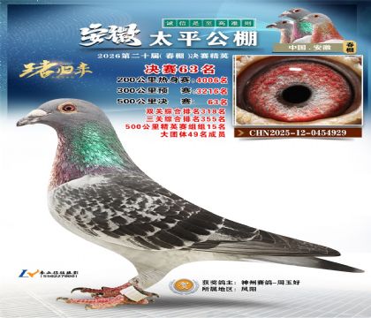 ����̫ƽ����63��