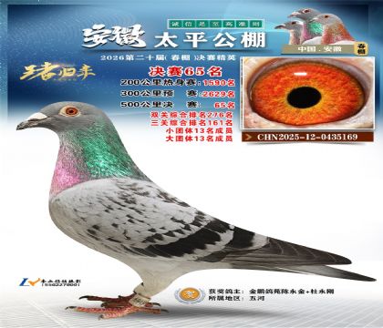 ����̫ƽ����65��