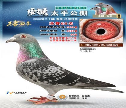 ����̫ƽ����66��