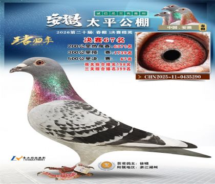 ����̫ƽ����67��