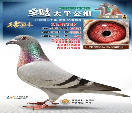 ����̫ƽ����73��