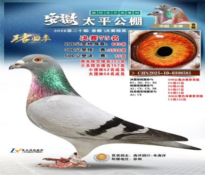 ����̫ƽ����75��