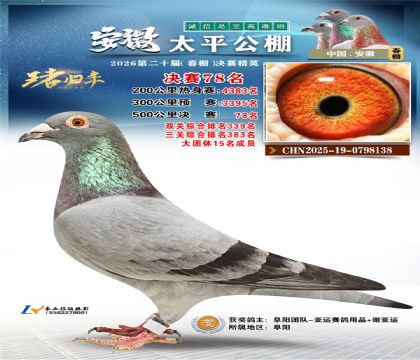 ����̫ƽ����78��