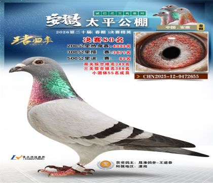 ����̫ƽ����80��