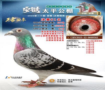 ����̫ƽ����81��