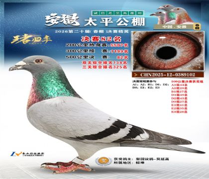 ����̫ƽ����82��