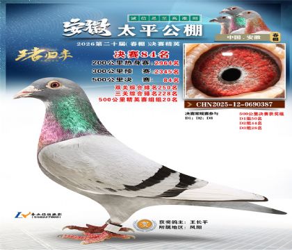 ����̫ƽ����84��