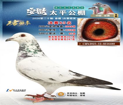 ����̫ƽ����85��