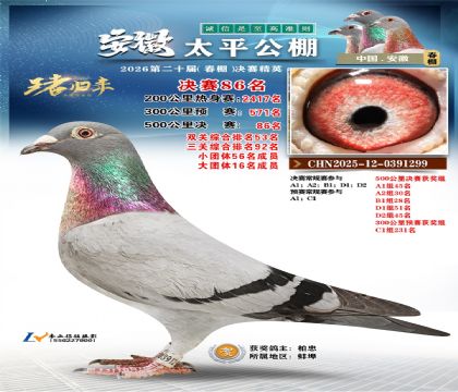 ����̫ƽ����86��