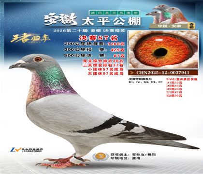 ����̫ƽ����87��