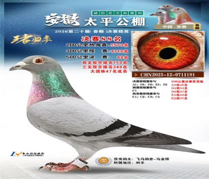 ����̫ƽ����88��