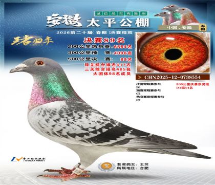 ����̫ƽ����89��