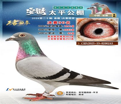 ����̫ƽ����90��