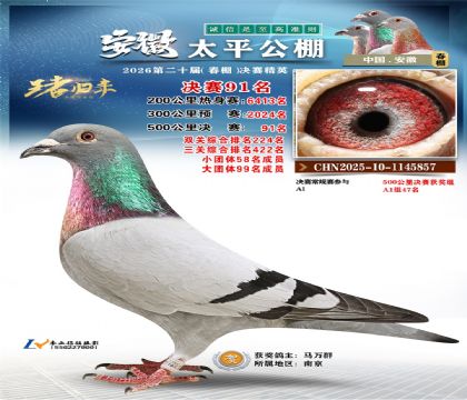 ����̫ƽ����91��