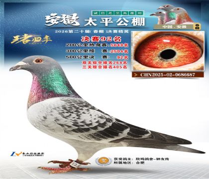 ����̫ƽ����92��