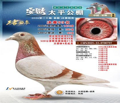 ����̫ƽ����93��