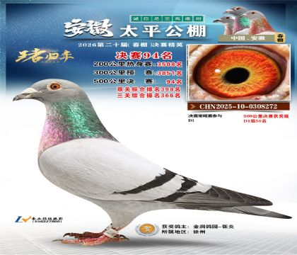 ����̫ƽ����94��