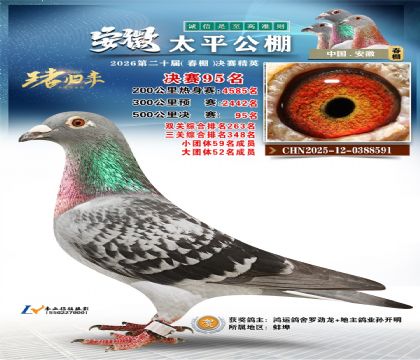 ����̫ƽ����95��