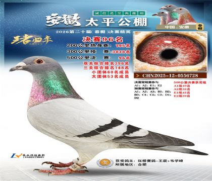 ����̫ƽ����96��