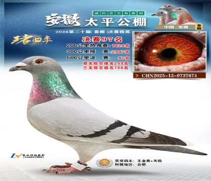 ����̫ƽ����97��