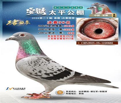 ����̫ƽ����98��