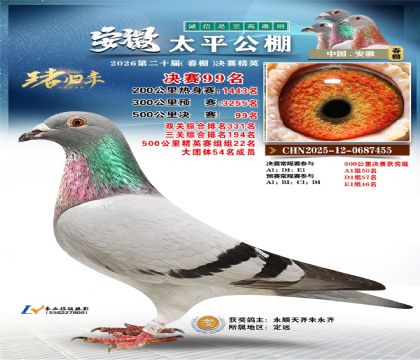 ����̫ƽ����99��