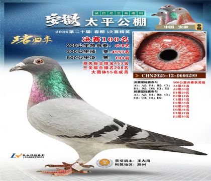 安徽太平决赛100名