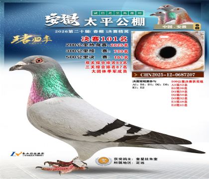 ����̫ƽ����101��